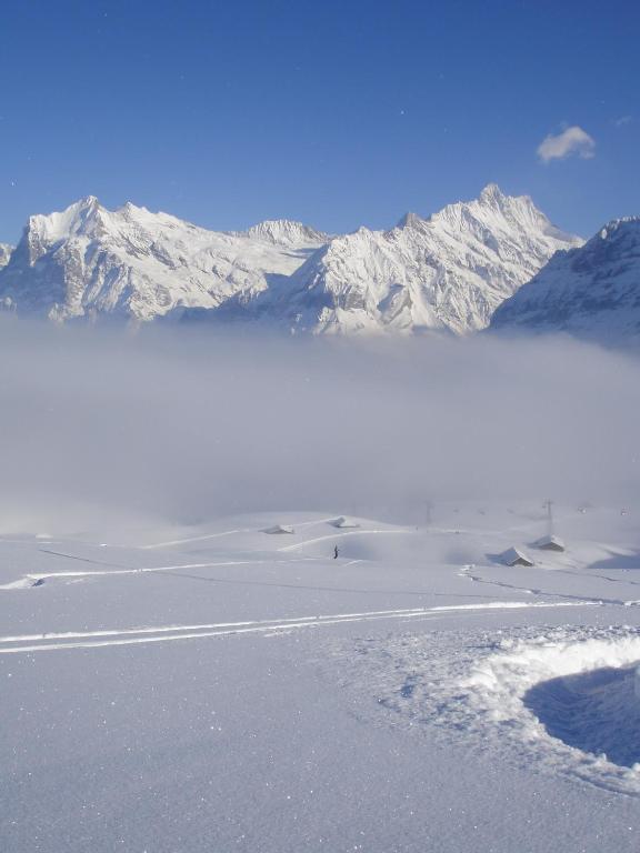 Chalet Asterix Grindelwald Exterior foto