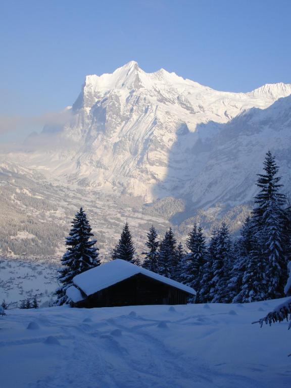 Chalet Asterix Grindelwald Exterior foto